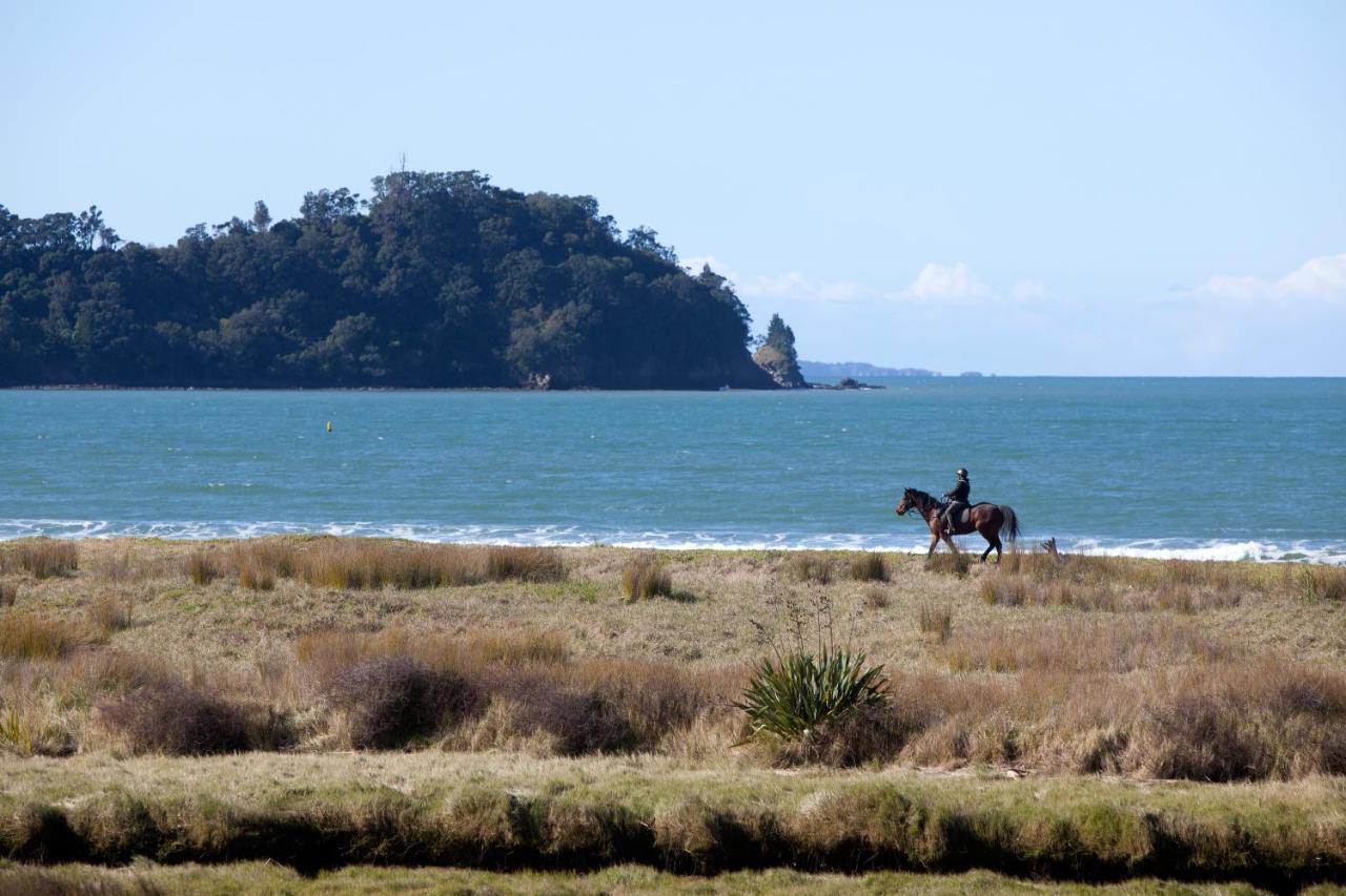 Admiralty Lodge Motel Whitianga Ngoại thất bức ảnh